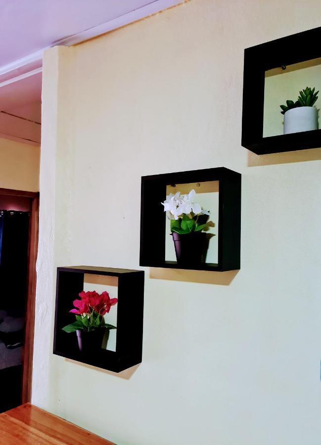 Jungle Beach Bungalow With Ac & Fiber Optic Puerto Viejo de Talamanca Εξωτερικό φωτογραφία