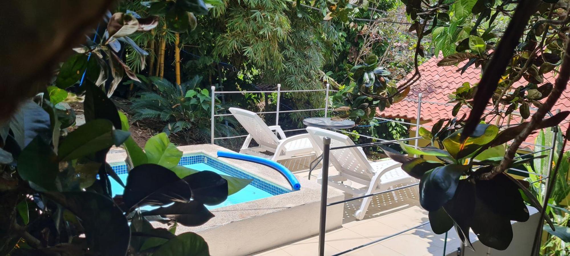 Jungle Beach Bungalow With Ac & Fiber Optic Puerto Viejo de Talamanca Εξωτερικό φωτογραφία